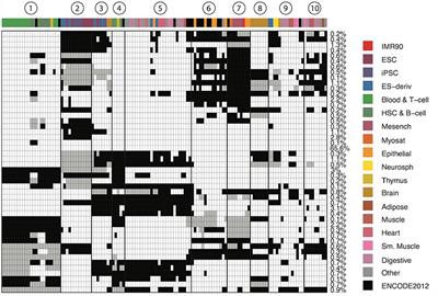 Epigenetic Combinatorial Patterns Predict Disease Variants